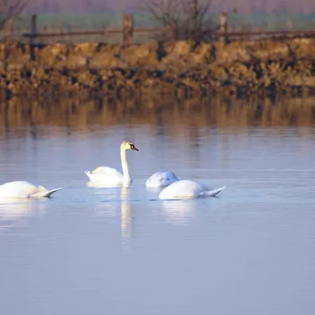 公寓 In Near Adriatic Coast 丽都斯皮纳